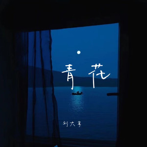 大🐻美女300%棵视频
