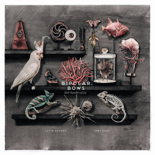 大🐻美女300%棵视频
